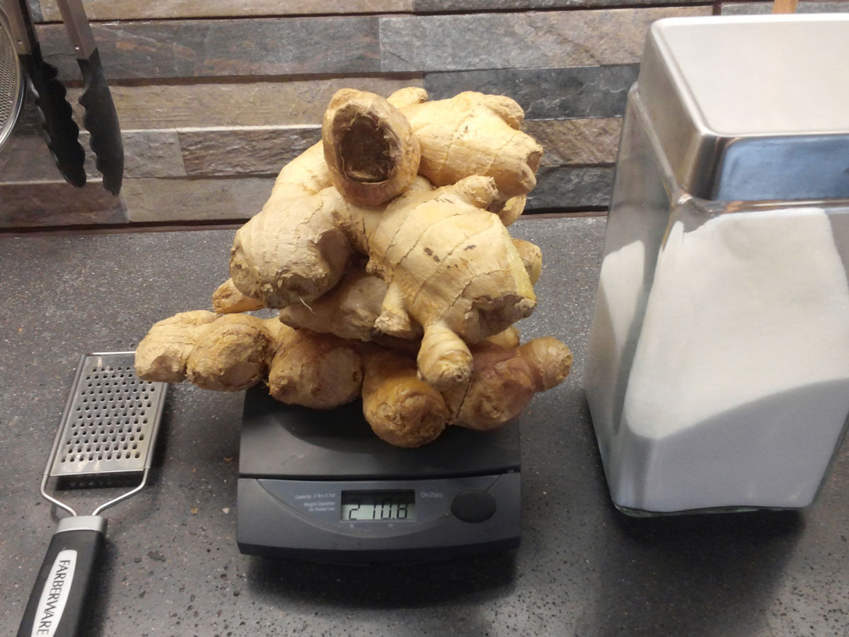 Fresh ginger rests on a digital scale. The scale reads 2 pounds, 10.8 ounces. To the right of the scale is a rectangular, glass jar full of white sugar, topped with a metal lid. To the left of the scale is a metal hand grater.