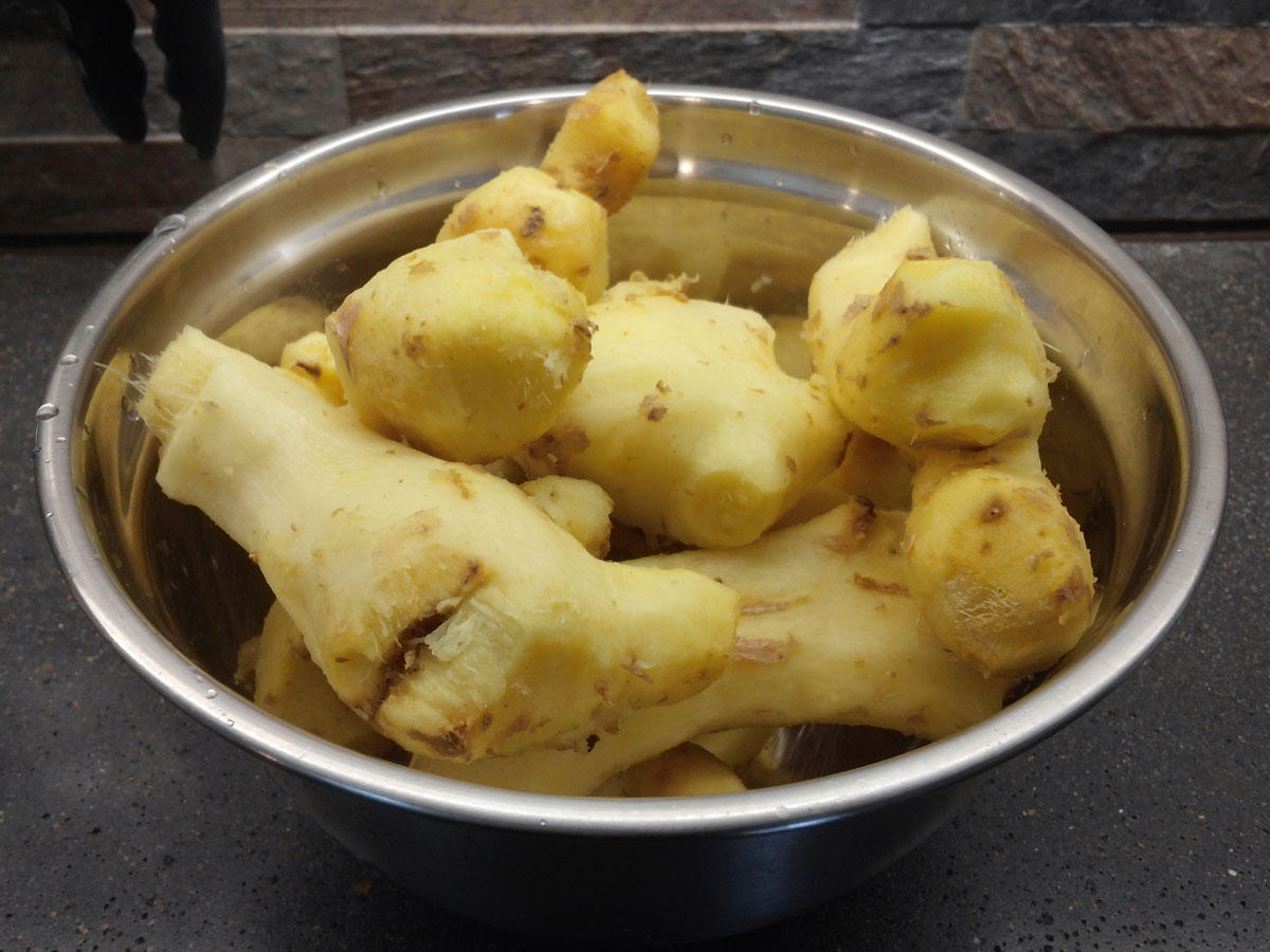 A metal bowl is full of peeled, fresh ginger roots.