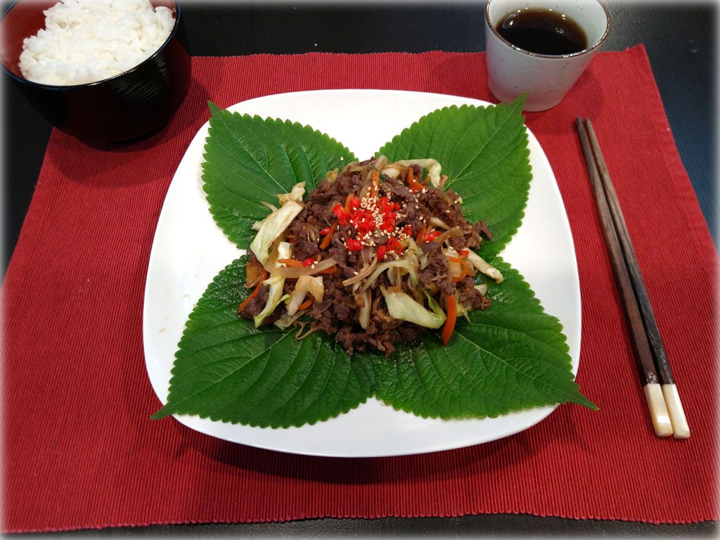 Bulgogi (불고기) - Korean Marinated Ribeye Beef